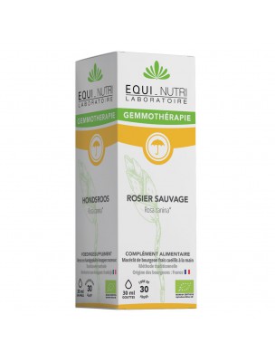 Image de Rosier Sauvage Macérât de Jeune Pousse Bio - Immunité et Respiration 30 ml - Equi-Nutri via Brosse La P'tite Recyclette - Raisin Souple