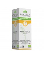 Image de Rosier Sauvage Macérât de Jeune Pousse Bio - Immunité et Respiration 30 ml - Equi-Nutri depuis Découvrez nos bourgeons unitaires naturels pour un bien-être complet (6)