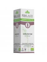 Image de Sapin Pectiné Macérât de Bourgeon Bio - Articulations et Respiration 30 ml - Equi-Nutri depuis Découvrez nos bourgeons unitaires naturels pour un bien-être complet (6)