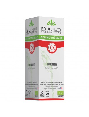 Image de Sorbier Macérât de Bourgeon Bio - Circulation 30 ml - Equi-Nutri depuis Commandez les produits Equi-Nutri à l'herboristerie Louis