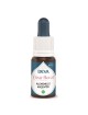 Alchemille argentée Bio - Amour inconditionnel Elixir floral 15 ml - Deva
