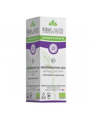 Image de Régénération (AO) n°31 Bio - Antioxydant 30 ml - Equi-Nutri via Achetez Bambou Tabashir 500mg Bio - Articulations | Vit'all+