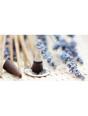 Buy Pitta Relaxant - Ayurvedic Incense 15 cones - Les Encens du