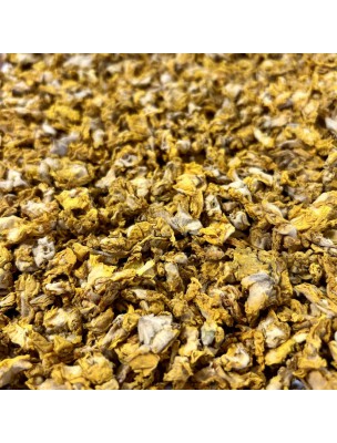 Image de Bouillon blanc (Molène) - Fleurs 100g - Tisane de Verbascum thapsus L depuis PrestaBlog