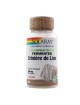 Crinière de Lion fermenté - Champignon Immunité 60 capsules - Solaray