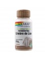 Image de Fermented Lion's Mane - Mushroom Immunity 60 capsules - Solaray via Buy Copper, Gold and Silver - Trace Elements 150 ml -