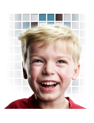 Image 66198 supplémentaire pour Brosse à dents Recyclette Junior - Vert Anis Souple - Bioseptyl