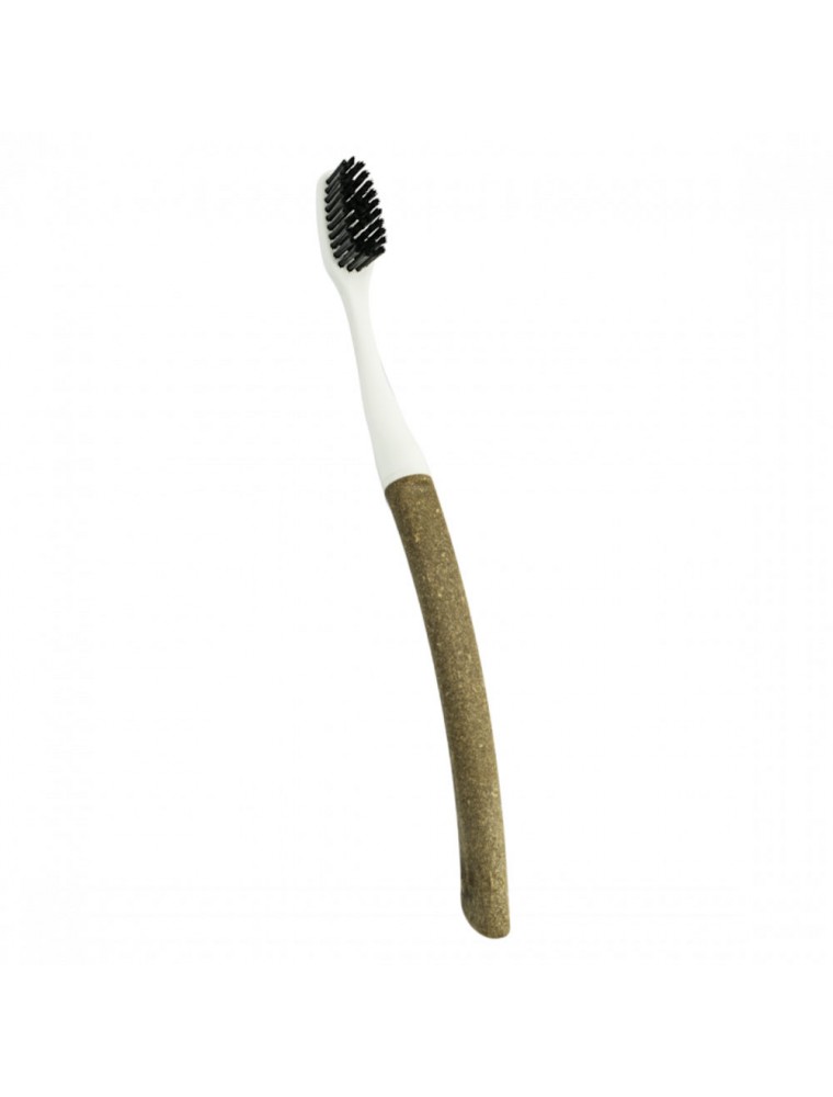 Image principale de la modale pour Brosse à dents Edith Lin - Tête Interchangeable Souple - Bioseptyl