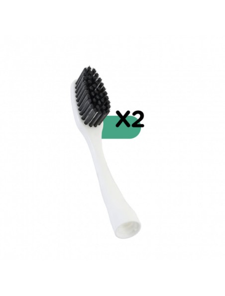 Achetez Têtes Interchangeables Edith - Lot de 2 Têtes Médium - Bioseptyl à l'herboristerie Louis Image principale de Têtes Interchangeables Edith - Lot de 2 Têtes Médium - Bioseptyl