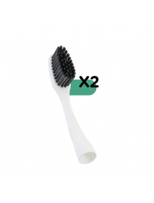 Image de Têtes Interchangeables Expert Edith -  Lot de 2 Têtes Orthodontie - Bioseptyl depuis Cosmétiques naturels : Découvrez notre sélection de produits de phytothérapie (30)