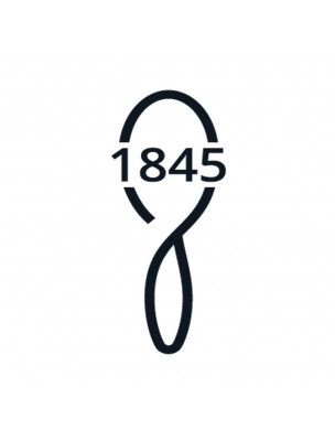 Image 66342 supplémentaire pour Brosse à Cheveux Grand Modèle - Démêlage et Volume - 1845