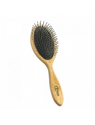 Image de Brosse à Cheveux Grand Modèle - Démêlage et Volume - 1845 depuis louis-herboristerie