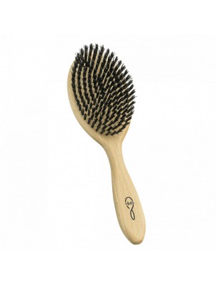 Image de Brosse à Cheveux Grand Modèle - Lissage et Soin - 1845 depuis Produits naturels pour vos cheveux - Herboristerie en ligne