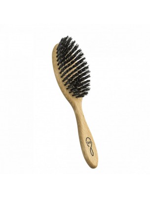 Image de Brosse à Cheveux Petit Modèle - Lissage et Soin - 1845 depuis Produits naturels pour vos cheveux - Herboristerie en ligne