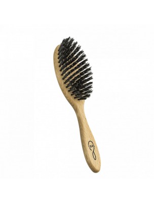 Image 66364 supplémentaire pour Brosse à Cheveux Petit Modèle - Lissage et Soin - 1845