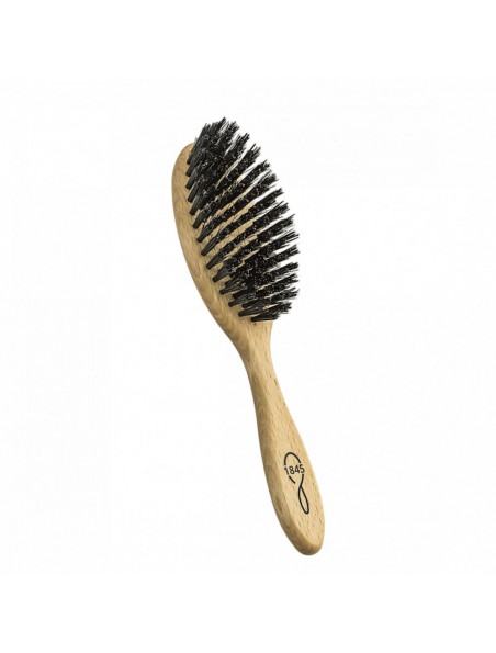 Image principale de Brosse à Cheveux Petit Modèle - Lissage et Soin - 1845