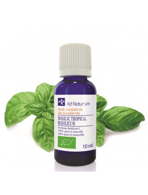 Image de Basilic Tropical Bio - Huile essentielle de Ocimum basilicum 10 ml - Ad Naturam depuis Commandez les produits Ad Naturam à l'herboristerie Louis