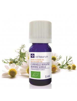 Image de Camomille Romaine (Noble) Bio - Huile essentielle de Anthemis nobilis 5 ml - Ad Naturam depuis Résultats de recherche pour "Les anti-inflam"