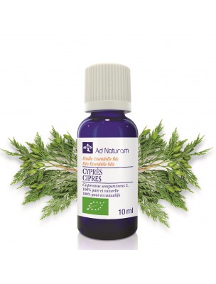 Image de Cyprès Bio - Huile essentielle de Cupressus sempervirens 10 ml - Ad Naturam depuis Elémi - Huile essentielle Canarium luzonicum 10ml