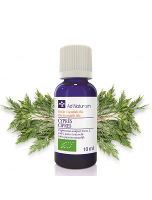 Image de Cyprès Bio - Huile essentielle de Cupressus sempervirens 10 ml - Ad Naturam via Elémi - Huile essentielle Canarium luzonicum 10ml