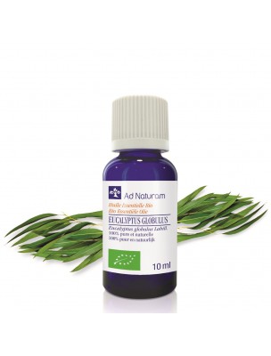 Image de Eucalyptus globulus Bio - Huile essentielle d'Eucalyptus globulus 10 ml - Ad Naturam depuis Résultats de recherche pour "Eucaly'pur Bio "