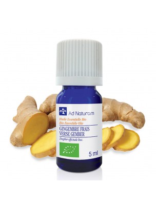 Image de Gingembre Bio - Huile essentielle de Zingiber officinale 5 ml - Ad Naturam depuis Résultats de recherche pour "Gingembre"