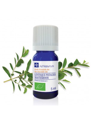 Petite image du produit Lentisque Pistachier Bio - Huile essentielle de Pistacia lentiscus 5 ml - Ad Naturam