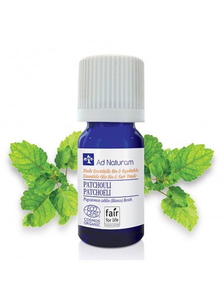 Achetez Patchouli Bio - Huile essentielle de Pogostemon patchouli 5 ml - Ad Naturam à l'herboristerie Louis Image principale de Patchouli Bio - Huile essentielle de Pogostemon patchouli 5 ml - Ad Naturam