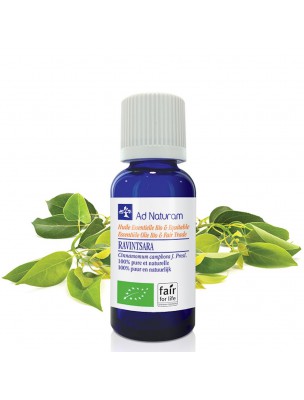 Image de Ravintsara Bio - Huile essentielle de Cinnamomum camphora 10 ml - Ad Naturam via Rhodhodendron Bio - Huile essentielle 5 ml - Ad Naturam