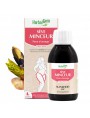Image de CelluSEVE Organic - Gentle draining of the body 250 ml Herbalgem via Buy Organic Maté - Leaves 100g - Ilex herbal tea