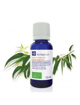 Image de Eucalyptus radiata Bio - Huile essentielle d'Eucalyptus radiata 10 ml - Ad Naturam via Eucalyptus Smithii Bio - Huile Essentielle 10 ml - Ad Naturam