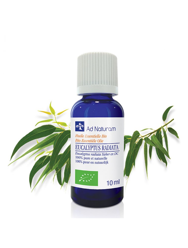 Image principale de la modale pour Eucalyptus radiata Bio - Huile essentielle d'Eucalyptus radiata 10 ml - Ad Naturam