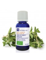 Image de Origan Compact Bio - Huile essentielle d'Origanum compactum 10 ml - Ad Naturam depuis ▷▷ Huiles essentielles de plantes commençant par la lettre O