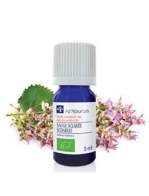 Image de Sauge Sclarée Bio - Huile essentielle de Salvia sclarea L. 5 ml - Ad Naturam via Serpolet - Huile essentielle 10 ml | Ad Naturam