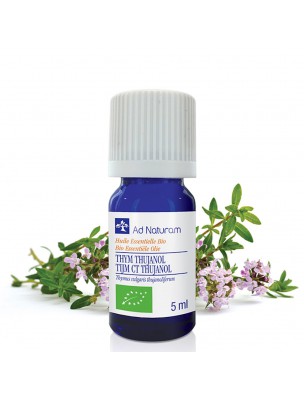 Image de Thym à Thujanol Bio - Huile essentielle de Thymus vulgaris Thujanoliferum 5 ml - Ad Naturam via Huile essentielle thym à thymol Ad Naturam