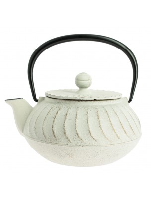 Image de Théière en Fonte Iwachu Nami Blanc Doré 650 ml avec son filtre depuis Théière en fonte Noire Rosaces 0,8L - Marque