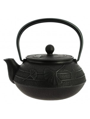 Image de Théière en Fonte Iwachu Ginkgo Noire 650 ml avec son filtre depuis Accessoires pour le thé - Dégustez votre infusion préférée