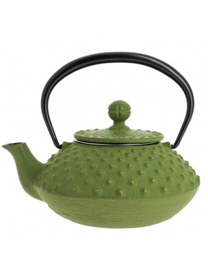 Image de Théière en Fonte Iwachu Kanbin Vert Doré 320 ml avec son filtre depuis Accessoires pour le thé - Dégustez votre infusion préférée