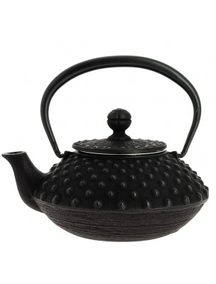 Image de Théière en Fonte Iwachu Kanbin Noire 320 ml avec son filtre depuis Accessoires pour le thé - Dégustez votre infusion préférée