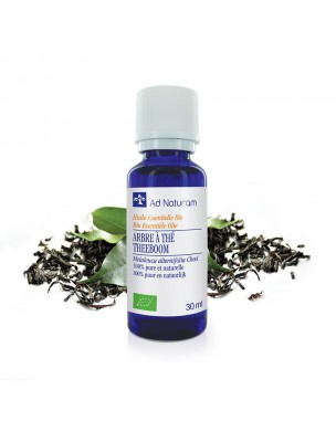 Image de Arbre à Thé (Tea tree) Bio - Huile essentielle de Melaleuca alternifolia 30 ml - Ad Naturam via Calophylle Bio 50ml - Huile Végétale de Calophyllum - Ad Naturam