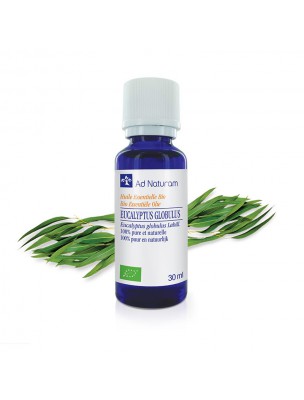 Image de Eucalyptus globulus Bio - Huile essentielle d'Eucalyptus globulus 30 ml - Ad Naturam via Eucalyptus radié Bio - Huile essentielle d'Eucalyptus radiata 30 ml