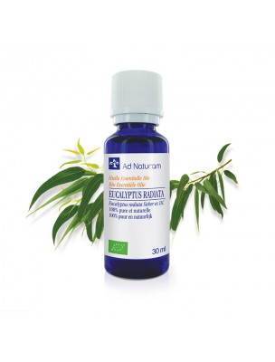 Image de Eucalyptus radié Bio - Huile essentielle d'Eucalyptus radiata 30 ml - Ad Naturam via Huile essentielle Gaulthérie odorante Bio - Ad Naturam