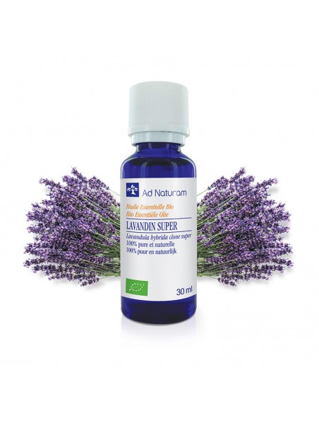 Achetez Lavandin Super Bio - Huile essentielle de Lavandula hybrida briquet clone super 30 ml - Ad Naturam à l'herboristerie Louis Image principale de Lavandin Super Bio - Huile essentielle de Lavandula hybrida briquet clone super 30 ml - Ad Naturam