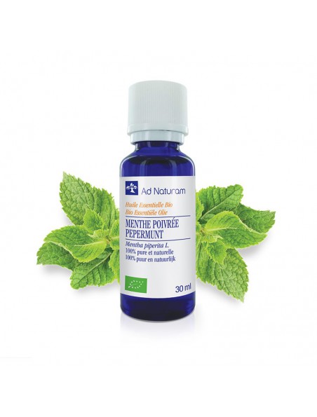 Image principale de Menthe poivrée Bio - Huile essentielle de Mentha piperita 30 ml - Ad Naturam