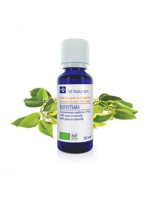 Image de Ravintsara Bio - Huile essentielle de Cinnamomum camphora 30 ml - Ad Naturam depuis Aromathérapie : huiles essentielles unitaires pour votre bien-être (8)