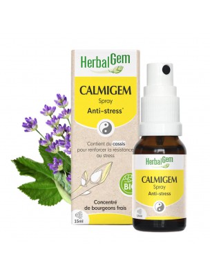 Image de CalmiGEM GC03 Bio Spray - Stress et anxiété 15 ml - Herbalgem via Achetez Be-Lumex Safran et L-Theanine - Calme et Sérénité 50 gélules - Be-Life