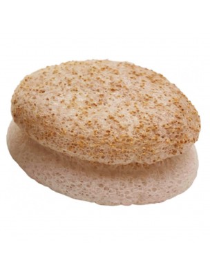 Image de Eponge Konjac aux Eclats de Noix - Purifie, Exfolie et Donne de l'éclat - Lady Green depuis Résultats de recherche pour "Konjac Sponge w"