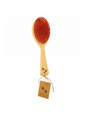 Image de Grande Brosse - Pelage Soyeux des Animaux - Empreinte depuis Produits naturels pour animaux – Phytothérapie et herboristerie (4)