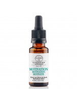 Image de Motivation - Elixir composé Bio aux Fleurs de Bach 20 ml - Elixirs and Co depuis Elixirs de Bach composés prêts à l'emploi - Produits de phytothérapie et d'herboristerie