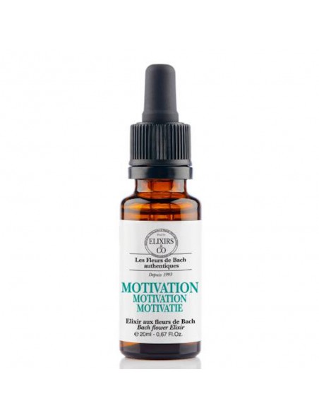 Image principale de Motivation - Elixir composé Bio aux Fleurs de Bach 20 ml - Elixirs and Co